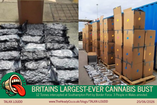 Britains largest-ever cannabis bust at Southampton Port - 12 tonnes found in two containers