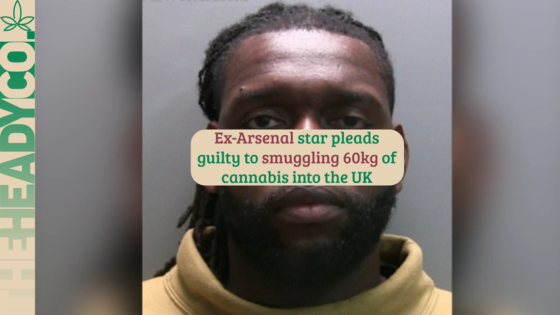 Ex-Arsenal star pleads guilty to smuggling 60kg of cannabis into the UK