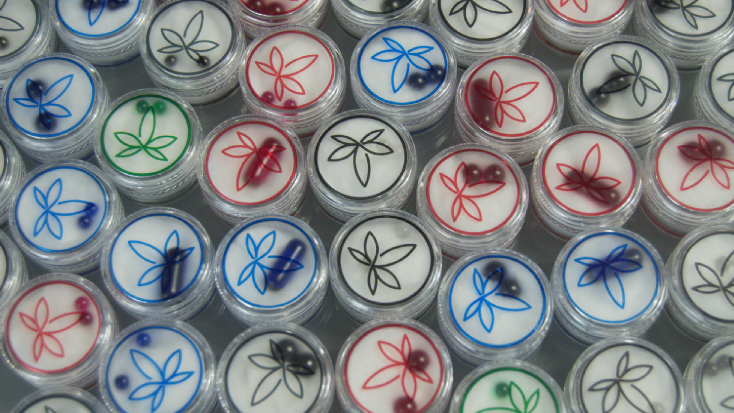 Numerous pots of THCo. terp pearls